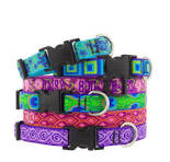 Dog Collars