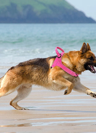 Nylon Durable Dog Harness No Pull Pet Harness with Handle Reflective Training Harness for Small Medium Large Dog German Shepherd