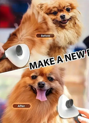 Dog brush, cat brush, self-cleaning pet brush for combing long and short hair dogs, cats, rabbits, etc. to remove loose hair