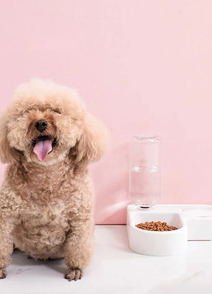 Cat Feeder Bowl Dog Automatic Water Double Bowls Food Wall Corner Save Space Cats 500ml Bottle Drinking Kitten Dogs Pet Product