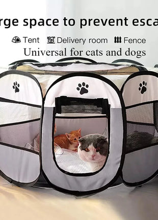 Cat bowl automatic feeder for cats, dogs, pets, water dispensers, integrated cat bowl, cat food basin, dogs, eating, drinking wa
