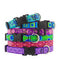 Dog Collars
