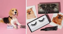 Collection image for: Dog Leashes