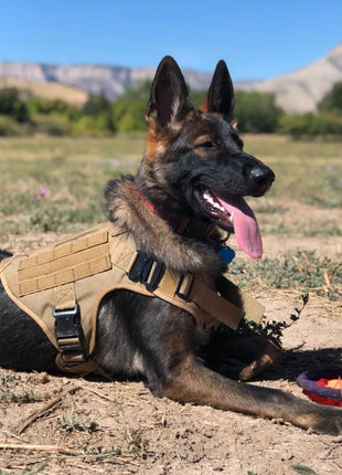 Military Large Dog Harness Training Pet Vest for French Bulldog German Shepherd Malinois Tactical Harnesses For Dogs Accessories