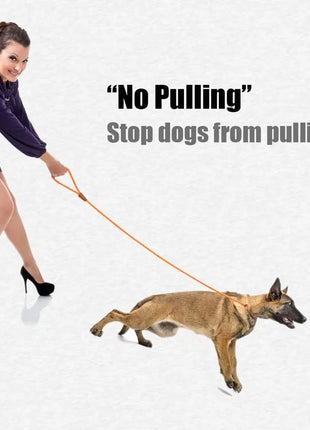 Dog Leashes Outdoor Travel Dogs Training Chain Heavy Duty Soft Handle Lead for Greater Control Safety Training  Pet Leash