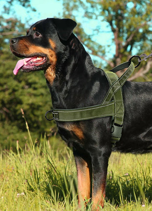 Nylon Durable Dog Harness No Pull Pet Harness with Handle Reflective Training Harness for Small Medium Large Dog German Shepherd