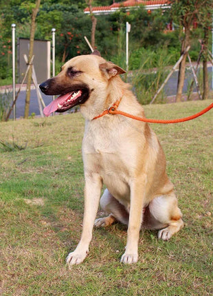 Dog Leashes Outdoor Travel Dogs Training Chain Heavy Duty Soft Handle Lead for Greater Control Safety Training  Pet Leash