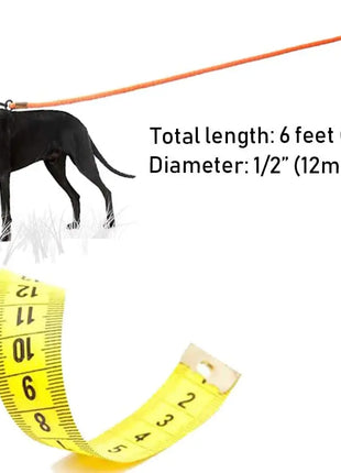 Dog Leashes Outdoor Travel Dogs Training Chain Heavy Duty Soft Handle Lead for Greater Control Safety Training  Pet Leash