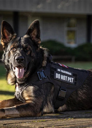 Military Large Dog Harness Training Pet Vest for French Bulldog German Shepherd Malinois Tactical Harnesses For Dogs Accessories