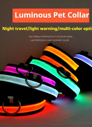 Dog Collar Nylon LED Night Safety Flashing Glow In The Dark Pet Dog Leash pet Dogs Luminous Fluorescent  dog accessories collar
