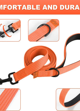 Dog Leash 6 Feet Long Polyamide Rope With Soft Padded Handle Durable Dog Training Lead Metal Swivel Hook for Small to Large Dogs