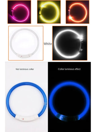 Led Dog Collar Luminous Usb Cat Dog Collar 3 Modes Led Light Glowing Loss Prevention LED Collar For Dogs Pet Dog Accessories