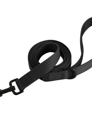 Dog Leash 6 Feet Long Polyamide Rope With Soft Padded Handle Durable Dog Training Lead Metal Swivel Hook for Small to Large Dogs