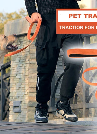 Dog Leash 6 Feet Long Polyamide Rope With Soft Padded Handle Durable Dog Training Lead Metal Swivel Hook for Small to Large Dogs