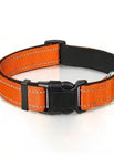 Orange collar / XS