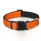 Orange collar / XS