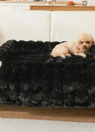 Dog Beds for Large Dogs Small Breeds Accessory Pet Supplies Basket Bed Medium Baskets Puppy Accessories Big Cushions Bedding