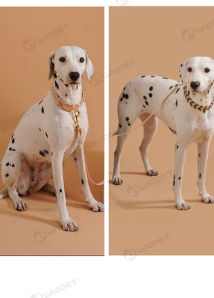 Dog Fashion Collar For Ladies Handmade Design Pet Colorful Neck Ring Small Medium and Large Dogs Lead-collar Wear Supplies