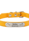 Gold / XXS (17-22cm)