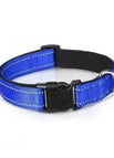 Blue collar / XL