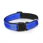 Blue collar / XL