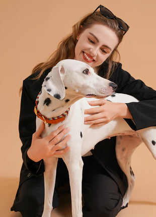 Dog Fashion Collar For Ladies Handmade Design Pet Colorful Neck Ring Small Medium and Large Dogs Lead-collar Wear Supplies