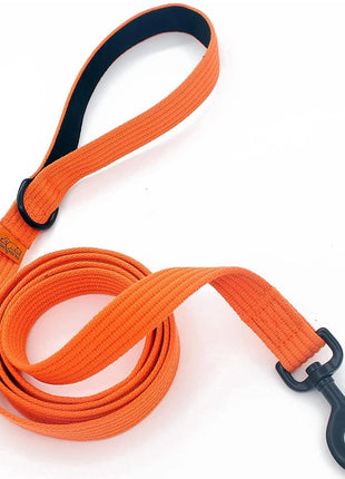 Dog Leash 6 Feet Long Polyamide Rope With Soft Padded Handle Durable Dog Training Lead Metal Swivel Hook for Small to Large Dogs