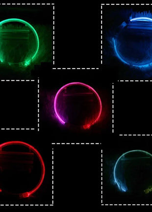 Led Dog Collar Luminous Usb Cat Dog Collar 3 Modes Led Light Glowing Loss Prevention LED Collar For Dogs Pet Dog Accessories