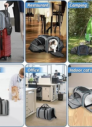 Pet Carriers Backpack Portable Breathable Foldable Cat Bag Transport for Cats Dog Carrier Bags Outdoor Travel Pets Transport Bag
