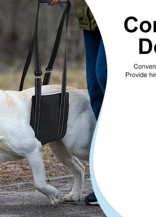 Dog Lift Harness Adjustable Dog Sling for Back Legs Support Rehab Harness for Weak Rear Legs Pet Aid Assist Tool For Elderly Dog
