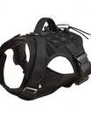 Black / XL CHEST 33.5-43.5