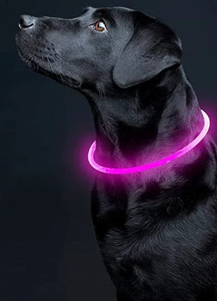 Led Dog Collar Luminous Usb Cat Dog Collar 3 Modes Led Light Glowing Loss Prevention LED Collar For Dogs Pet Dog Accessories