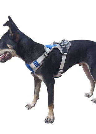 Dog Harness NO PULL Outdoor Walking Breathable Reflective Adjustable Small Dog Harness for Medium Large Dogs Pet Supplies