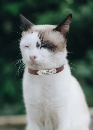Personalized Dog Collar Name Carved ID Anti-lost Solid PU Leather Collar For Small Medium Large Dogs Puppy Cat Pet Supplies Pink