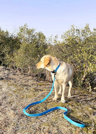 Dog Leash 6 Feet Long Polyamide Rope With Soft Padded Handle Durable Dog Training Lead Metal Swivel Hook for Small to Large Dogs
