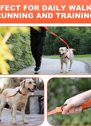 Dog Leash 6 Feet Long Polyamide Rope With Soft Padded Handle Durable Dog Training Lead Metal Swivel Hook for Small to Large Dogs