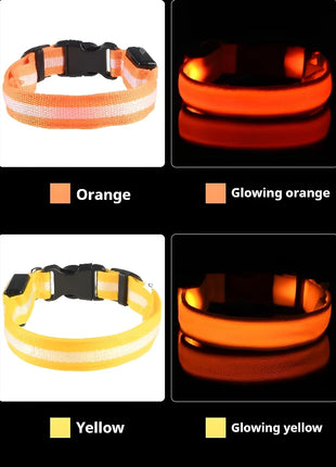 Dog Collar Nylon LED Night Safety Flashing Glow In The Dark Pet Dog Leash pet Dogs Luminous Fluorescent  dog accessories collar