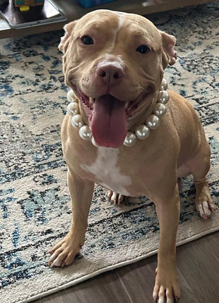 Dog Pearl Collars for Large Dogs Cats Pet Necklace Jewelry Chihuahua Yorkie Girl Clothing Dress Costume Accessories Wire Rope