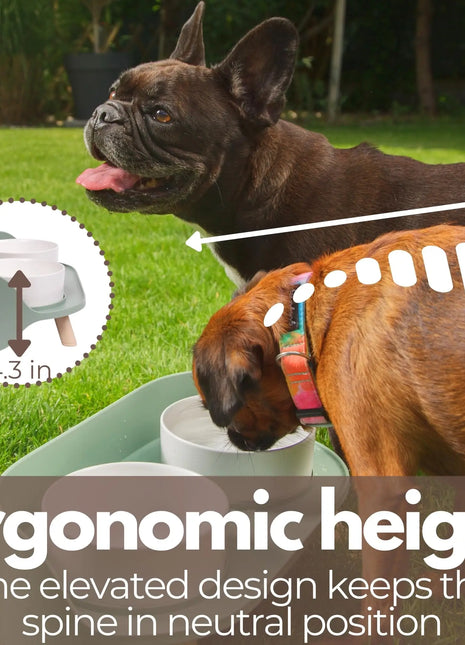 Cat Food Bowls Dog Dual Bowls Stand with No-Spill Design 3 Adjustable Heights Anti Vomiting Cat Water Bowl for Dog Cats
