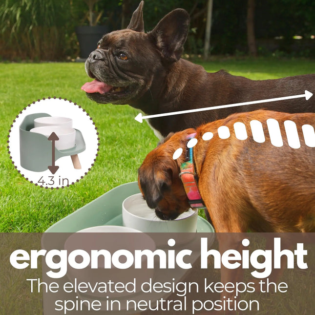Cat Food Bowls Dog Dual Bowls Stand with No-Spill Design 3 Adjustable Heights Anti Vomiting Cat Water Bowl for Dog Cats