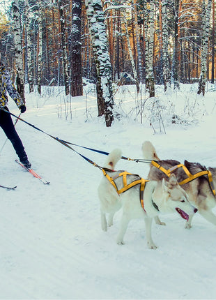 Dog Sled Harness Pet Weight Pulling Sledding Harness Mushing X Back Harness For Large Dogs Husky Canicross Skijoring Scootering