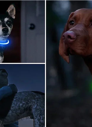 Led Dog Collar Luminous Usb Cat Dog Collar 3 Modes Led Light Glowing Loss Prevention LED Collar For Dogs Pet Dog Accessories