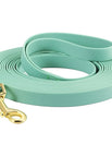 Succulent Green / 3M
