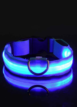 Dog Collar Nylon LED Night Safety Flashing Glow In The Dark Pet Dog Leash pet Dogs Luminous Fluorescent  dog accessories collar