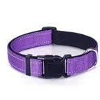Purple collar / M
