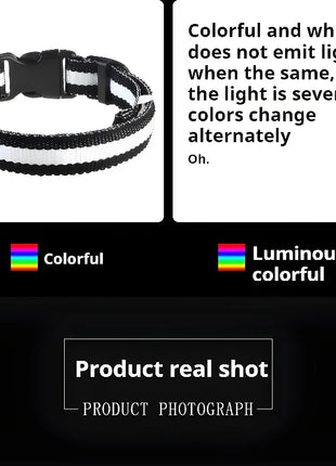 Dog Collar Nylon LED Night Safety Flashing Glow In The Dark Pet Dog Leash pet Dogs Luminous Fluorescent  dog accessories collar