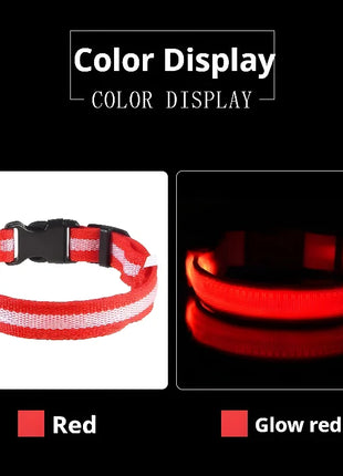 Dog Collar Nylon LED Night Safety Flashing Glow In The Dark Pet Dog Leash pet Dogs Luminous Fluorescent  dog accessories collar
