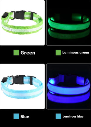 Dog Collar Nylon LED Night Safety Flashing Glow In The Dark Pet Dog Leash pet Dogs Luminous Fluorescent  dog accessories collar