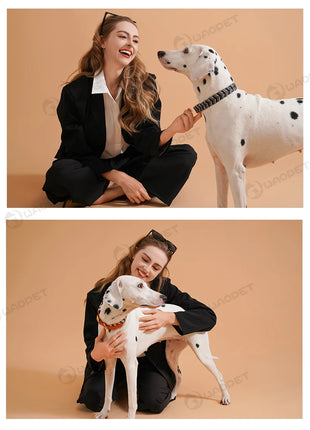 Dog Fashion Collar For Ladies Handmade Design Pet Colorful Neck Ring Small Medium and Large Dogs Lead-collar Wear Supplies