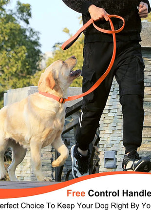 Dog Leash 6 Feet Long Polyamide Rope With Soft Padded Handle Durable Dog Training Lead Metal Swivel Hook for Small to Large Dogs